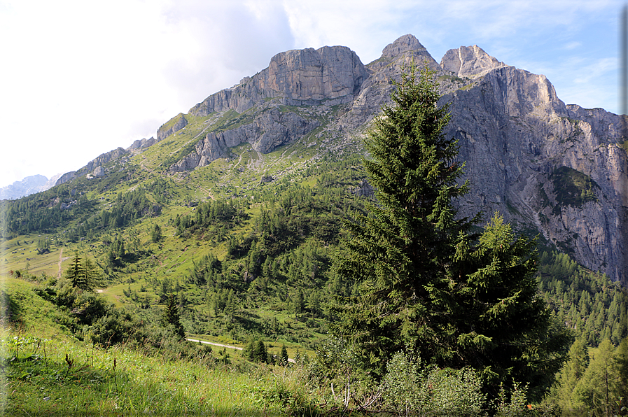 foto Passeggiata dal Col dei Balbi al Rifugio Coldai